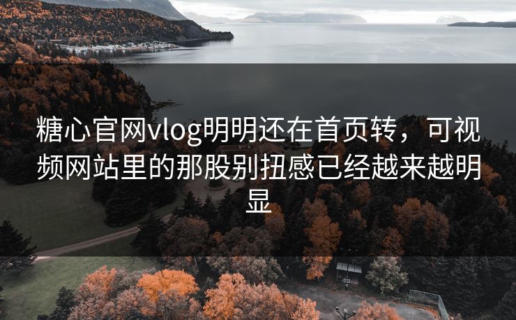 糖心官网vlog明明还在首页转，可视频网站里的那股别扭感已经越来越明显