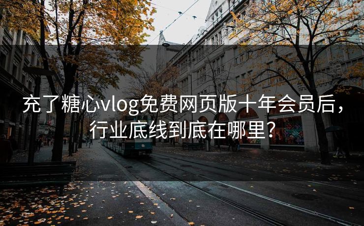 充了糖心vlog免费网页版十年会员后，行业底线到底在哪里？