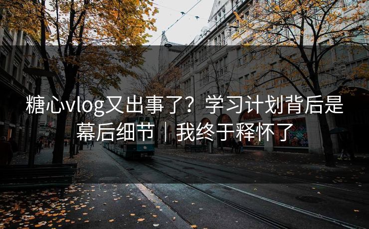 糖心vlog又出事了？学习计划背后是幕后细节｜我终于释怀了