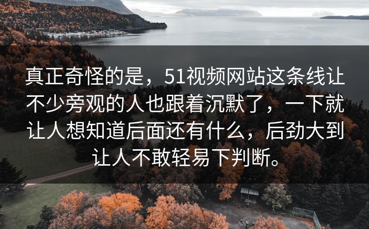 真正奇怪的是，51视频网站这条线让不少旁观的人也跟着沉默了，一下就让人想知道后面还有什么，后劲大到让人不敢轻易下判断。
